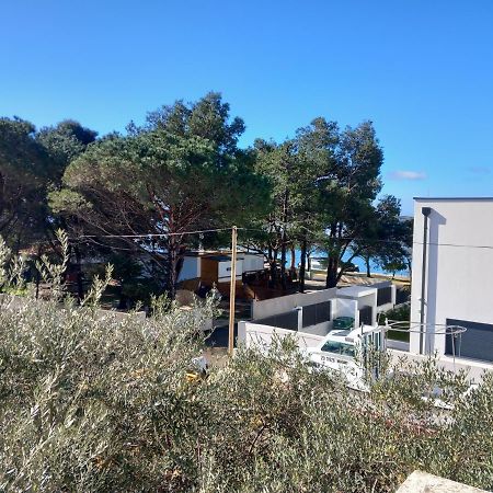 Apartmani Fila Врси Экстерьер фото